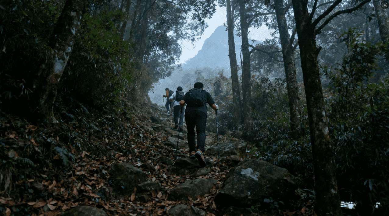 蚂蚁加速器iOS版本不见了的原因分析